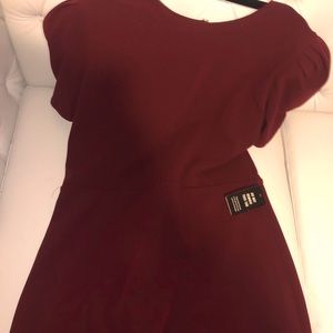 Burgundy Puff Ruffle Sleeve Dress Express